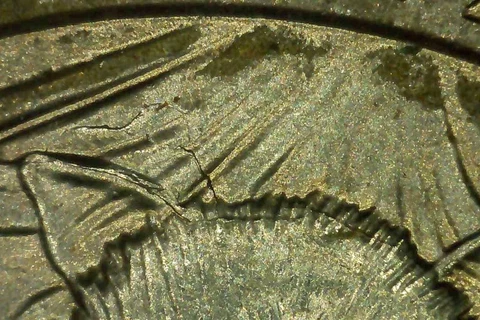 2020 P Quarter Die Crack Doubling Multiple Error American Samoa Bat Nat Park Cover