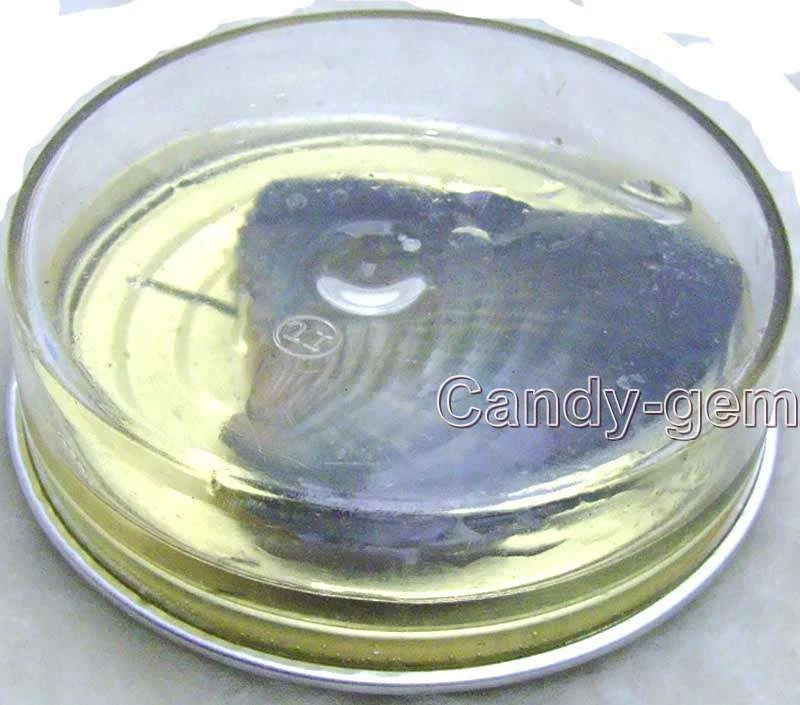 One Can of Wish Pearl Oyster com arroz natural pérola de água doce dentro presente l525 - Imagem 1 de 4