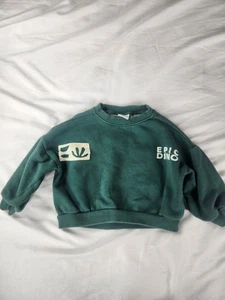 ZARA 3-4Y Boys Green EPIC DINO Fleece Sweatshirt Dinosaur Pullover Jumper Cozy - Picture 1 of 5