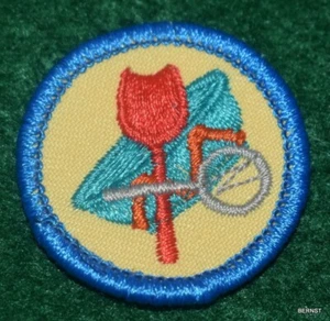 INSIGNIA GIRL SCOUT WORLDS TO EXPLORE - AZUL - TRADICIÓN LOCAL - ENVÍO GRATUITO - Imagen 1 de 2