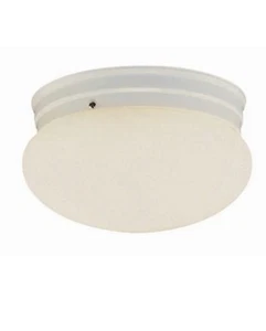 Trans Globe Lighting - 10 Inch Flush Mount-Brushed Nickel Finish - Picture 1 of 1