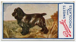 COCKER SPANIEL  1924 JAMES PASCALL Ltd  ( CONFECTIONARY ) DOG TRADE CARD #1 - Picture 1 of 2