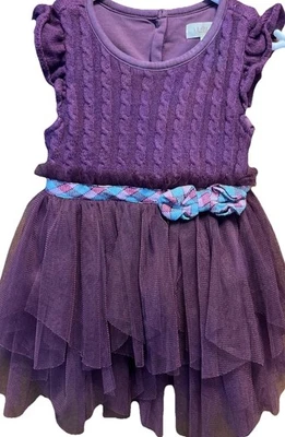 Vestido Matilda Jane Granate Tejido Tul Talla 13 Meses Soiree Púrpura Érase Érase una vez Foto 1 de 4