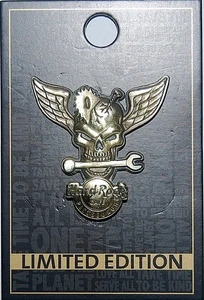 Hard Rock Cafe PITTSBURGH Year 2007 3D Winged Skull Pin - Picture 1 of 2