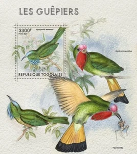 BEE-EATERS Birds/Bird MNH 1v-Stamp Sheet #1397 (2021 Togo) - Picture 1 of 1
