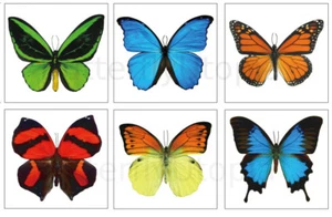 Large Butterfly Temporary Tattoos - 6 Sheets - For Adults and Children - Picture 1 of 7