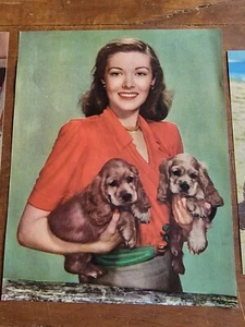 Pin Up Girl & Cocker Spaniel Vintage 50er Jahre Lithographie Druck - Bild 1 von 1