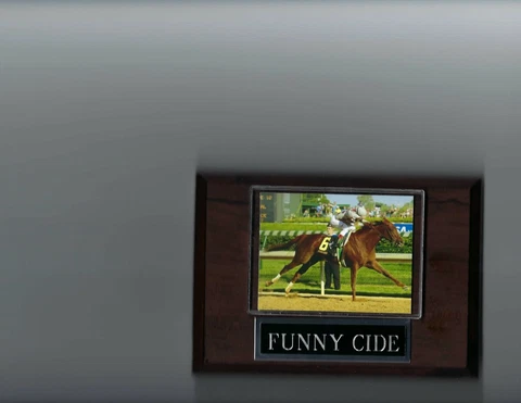 FUNNY CIDE PLAQUE HORSE RACING TURF Cover