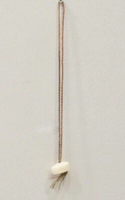 Papua New Guinea Cone Shell Necklace Iatmul Tribe - Image 1 of 2