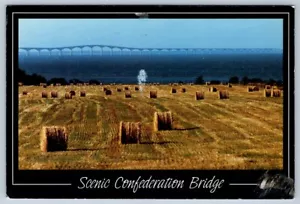 Confederation Bridge PEI Canada 2004 Postcard, Large CDS And Two Slogan Cancels - Foto 1 di 2