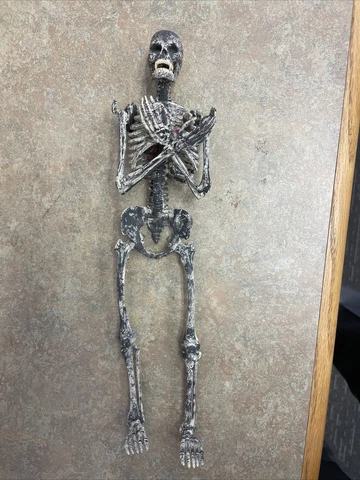 Custom 1/6 12” Vampire Skeleton Figure Cover