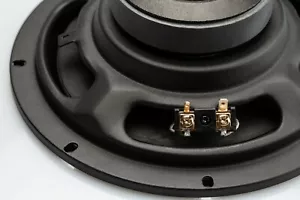 Weeter medio-basso 20 cm alta qualità audio 3 ohm bassi NUOVO altoparlante 8" TMT - Foto 1 di 6