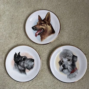 3 x verschiedene Harry Hancock Tunstall Rydalia Ware Hundeteller wie abgebildet - Bild 1 von 8