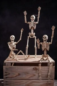 Skeleton - 15" - Posable - White - Plastic - Costume Accessory Prop Decor - Picture 1 of 3