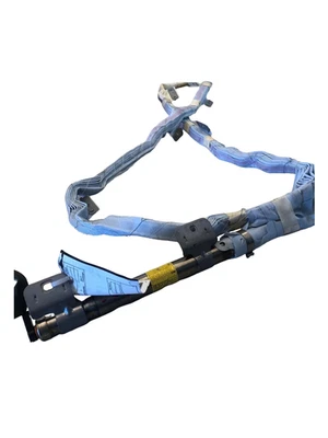 Toyota Prius 2006 techo airbag sensor bolsa de aire seguridad SRS conductor lado izquierdo Foto 1 de 4