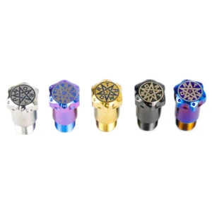 Titan Schraube Maverick Elektroauto N Serie & Bracing Jamb Flower Head Screws - Bild 1 von 7