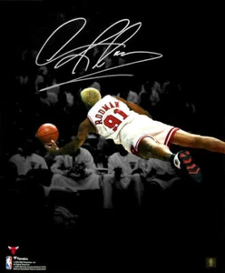 Dennis Rodman signiertes Chicago Bulls Diving Spotlight 16 x 20 Foto - SCHWARTZ COA - Bild 1 von 1