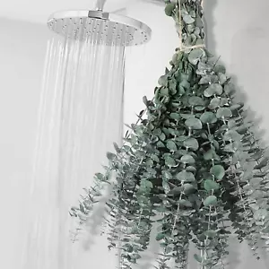 17 Inch Shower Hanging Preserved Eucalyptus Stems Plant Fresh Real Leaves - Picture 1 of 11