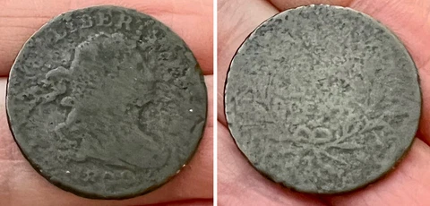 1800 Draped Bust Half Cent - First Year of Type Cover