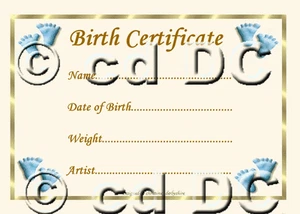 BLUE BABY FEET BIRTH CERTIFICATE/CERTIFICATES 4 REBORN FAKE BABY approx 7"x 5" - Picture 1 of 1