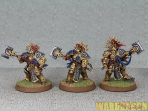 Warhammer WDS painted Stormcast Eternals Paladin Retributors l40 - Picture 1 of 4