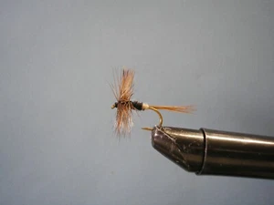 Dry Fly TRANSYLVANIAN #10,12,14 Two of each size ( 6 - Pack ) - Photo 1 sur 1