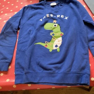 Dinasaur Sweatshirt Age 9-10 Years - Picture 1 of 4