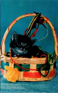 Cute Kitten in a Basket of Yarn Postcard - Picture 1 of 2