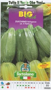 ZUCCHINO BOLOGNESE SELEZIONE IL NETTUNO BIG PACK - SEMI ORTICOLI - - Picture 1 of 1