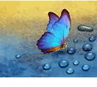 Blue Butterfly Painting By Number Lovely Design Canvas House Display Decorations