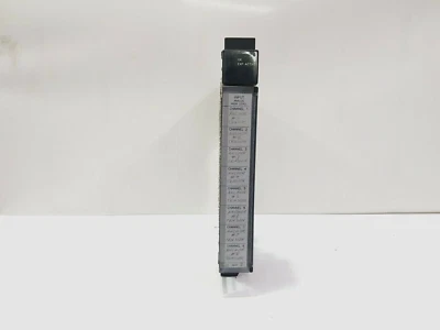 GE FANUC IC697ALG230 ANALOG INPUT MODULE - Image 1 of 4