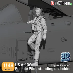 1/48 US A-10C Thunderbolt II Female Pilot Standing on Ladder for Academy - Picture 1 of 1