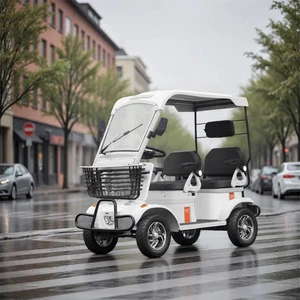 650W 60V 20Ah 2-Seaters Canopy Electric Mobility Scooter &Windshield Wiper White - Picture 1 of 2