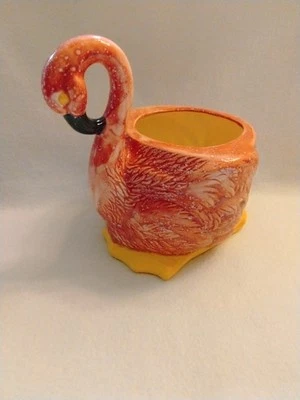 Maceta suculenta flor flamenco rosa Foto 1 de 4