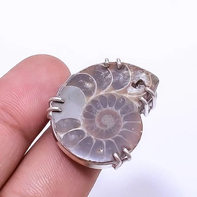 Cleoniceras Cleón Amonita - Anillo Fósil Plata de Ley 925 s.8 R88, Navidad Foto 1 de 4