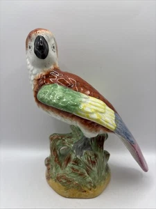 Figurina Pappagallo Staffordshire Potteries. 1900 circa. 19 cm - Foto 1 di 21