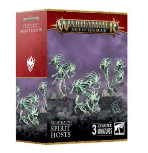 Warhammer 93-08 Age of Sigmar Nighthaunt: Spirit Hosts * - Imagen 1 de 1
