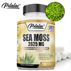 Meeresmoos Kapseln 2625 mg - Irisches Moos & Klettenwurzel - Schilddrüse & Immununterstützung