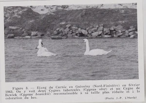 1963  --  ETANG DU CURNIC EN GUISSENY    3J481 - Picture 1 of 1