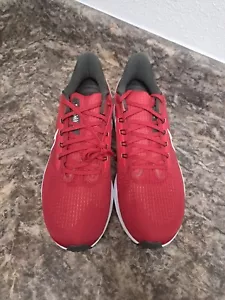 Nike Air Zoom Pegasus 39 Tampa Bay Buccaneers para hombre talla 12 para correr DR2062-600... - Imagen 1 de 10