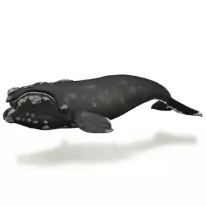 Collecta Wildlife Model 88740 - Right Whale - Picture 1 of 1