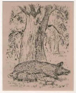 MUTTERSAU LECHÓN & CERDO & LOBOS & BURRO August GAUL - 3 litografías originales - Imagen 1 de 3