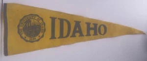 Vintage University of Idaho Pennant Felt Full Size Large Flag Vandals - Picture 1 of 2