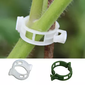 Lot De 10 Clips De Support Pour Plantes Attaches Pour Treillis De Légumes ~ - Photo 1/12