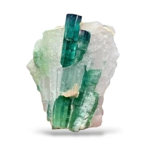 100ct | Ramo único de cristal de indicolita azul con muestra de cuarzo | Afganistán - Imagen 1 de 17