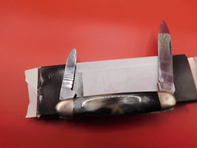 Cuchillo bolígrafo cuerno de búfalo Solingen de colección hueso 2 hojas casi nuevo como nuevo Foto 1 de 4