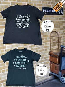 Lot of 2 Harry Potter Tshirts - Adult size XL and Youth size 18 - Picture 1 of 3