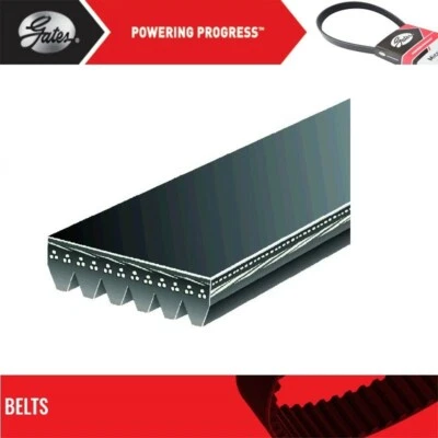 Puertas de cinturón Serpentine para Chevrolet Silverado 2500 HD 2011-2014 V8-6,6 L Foto 1 de 4