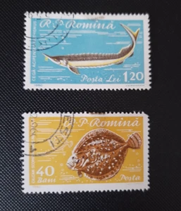P.R.Romina Romania 1960 - Pesci - 2 valori usati storione rombo - Foto 1 di 1