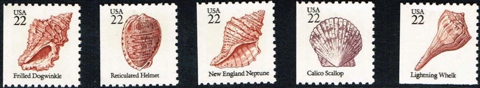 US #2117-2121 MNH 1985 Seashells [Left Booklet Singles] - Image 1 of 1